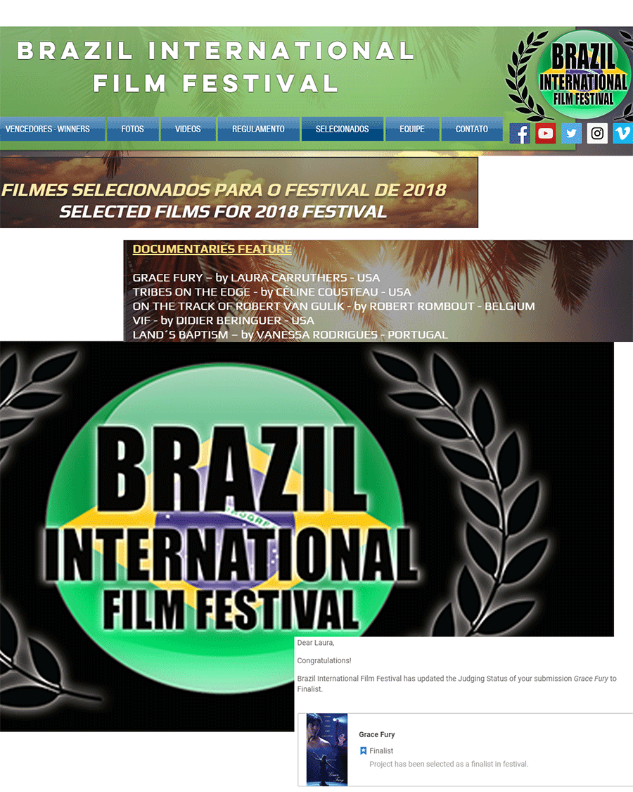 Finalist: Brazil Film Festival
